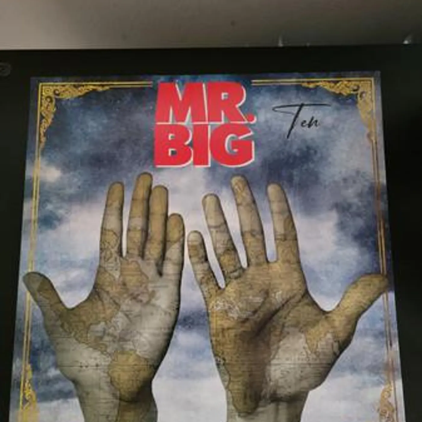 Mr. Big TEN Vinyl Record