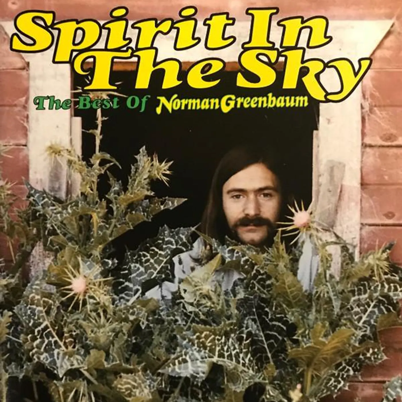 Norman Greenbaum SPIRIT IN SKY: BEST OF CD