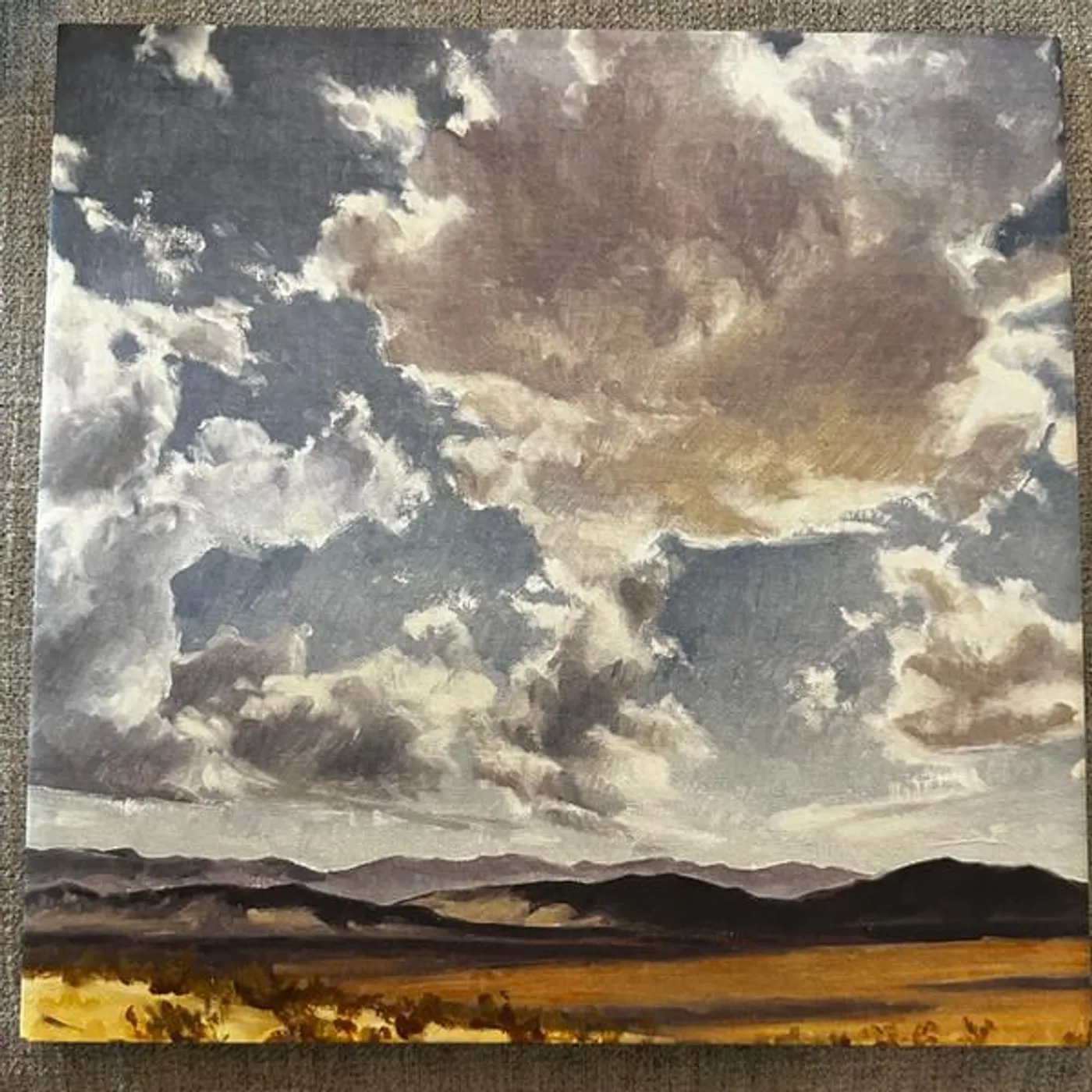 American Aquarium FEAR OF STANDING STILL Vinyl Record