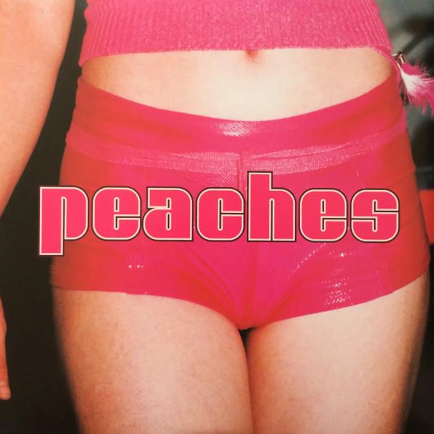 TEACHES OF PEACHES Vinyl Record