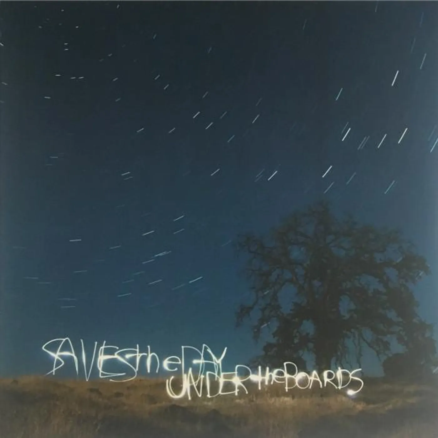 Saves The Day Under the Boards Vinyl Record