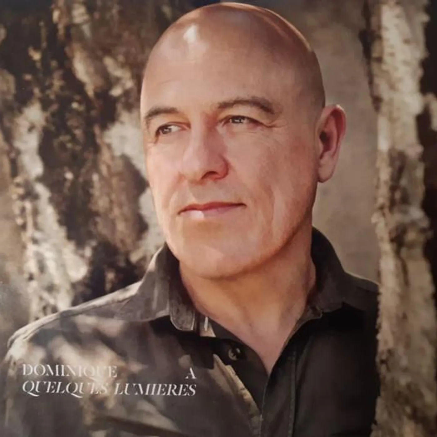 Dominique A QUELQUES LUMIERES CD