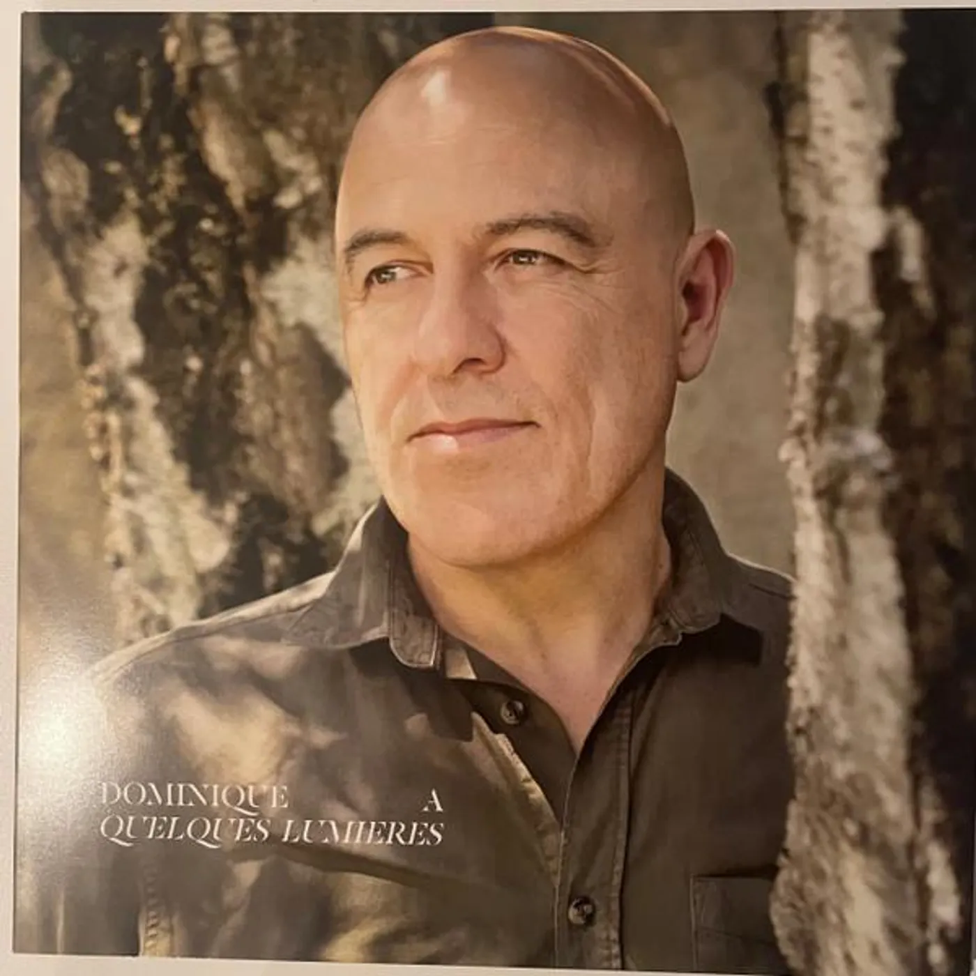 Dominique A QUELQUES LUMIERES Vinyl Record