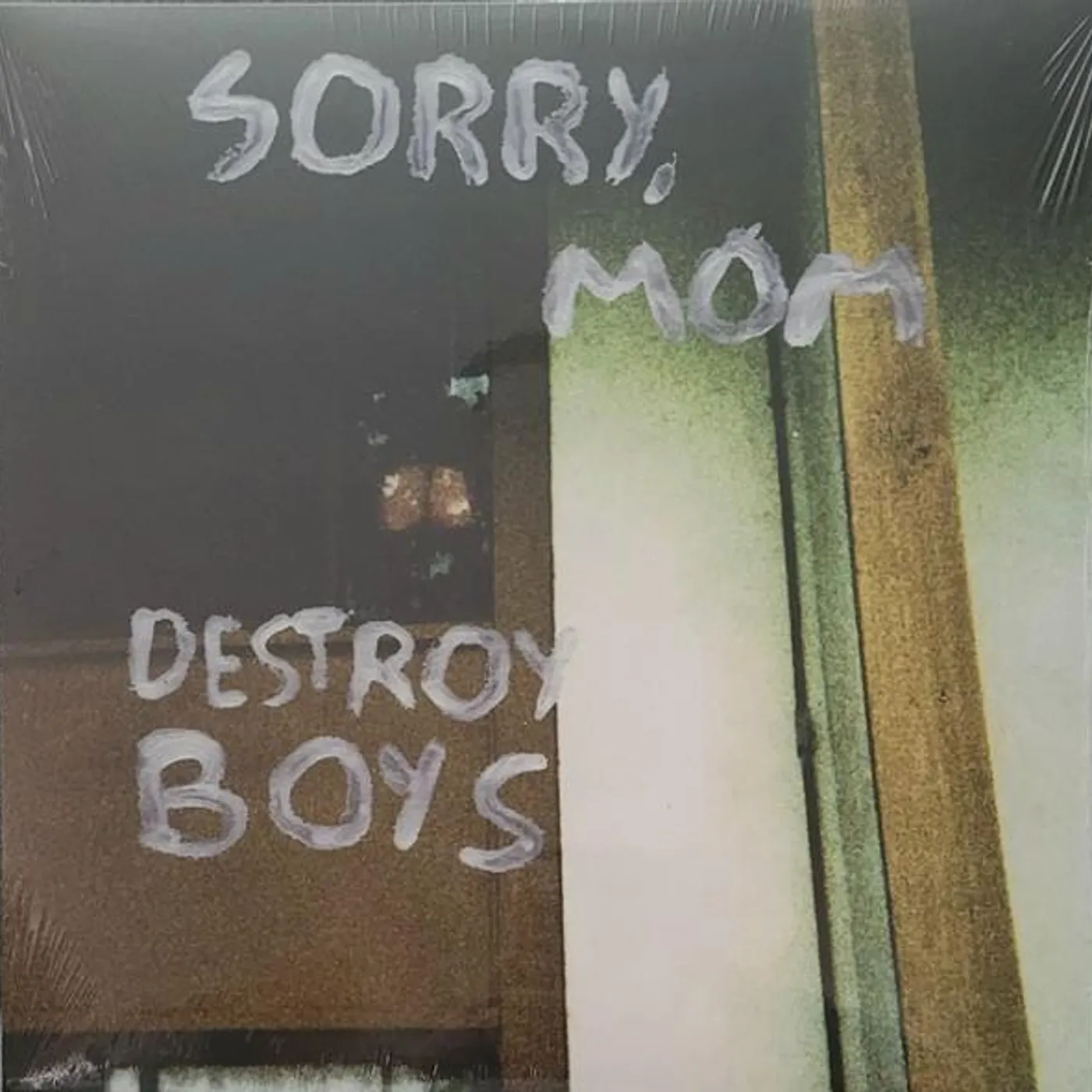 Destroy Boys SORRY MOM Vinyl Record