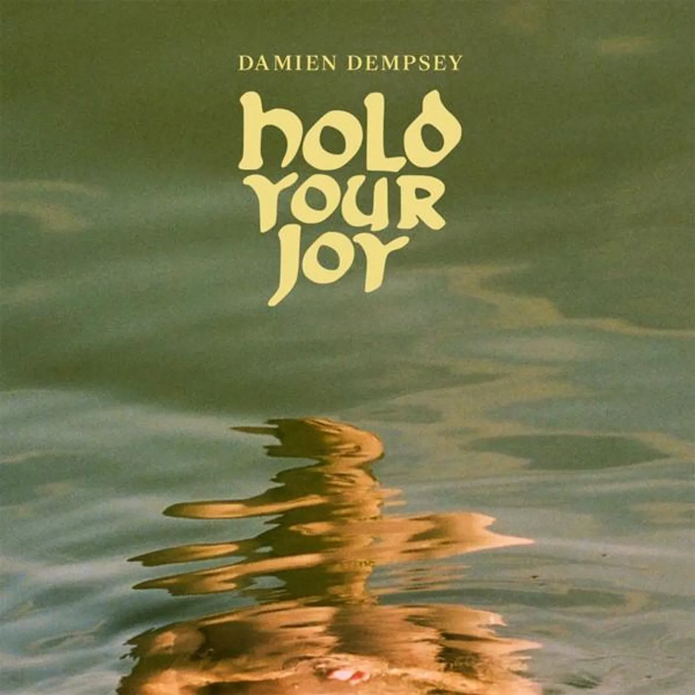 Damien Dempsey HOLD YOUR JOY CD