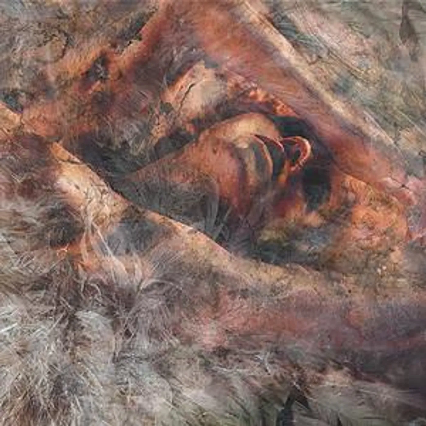 Converge UNLOVED & WEEDED OUT Vinyl Record