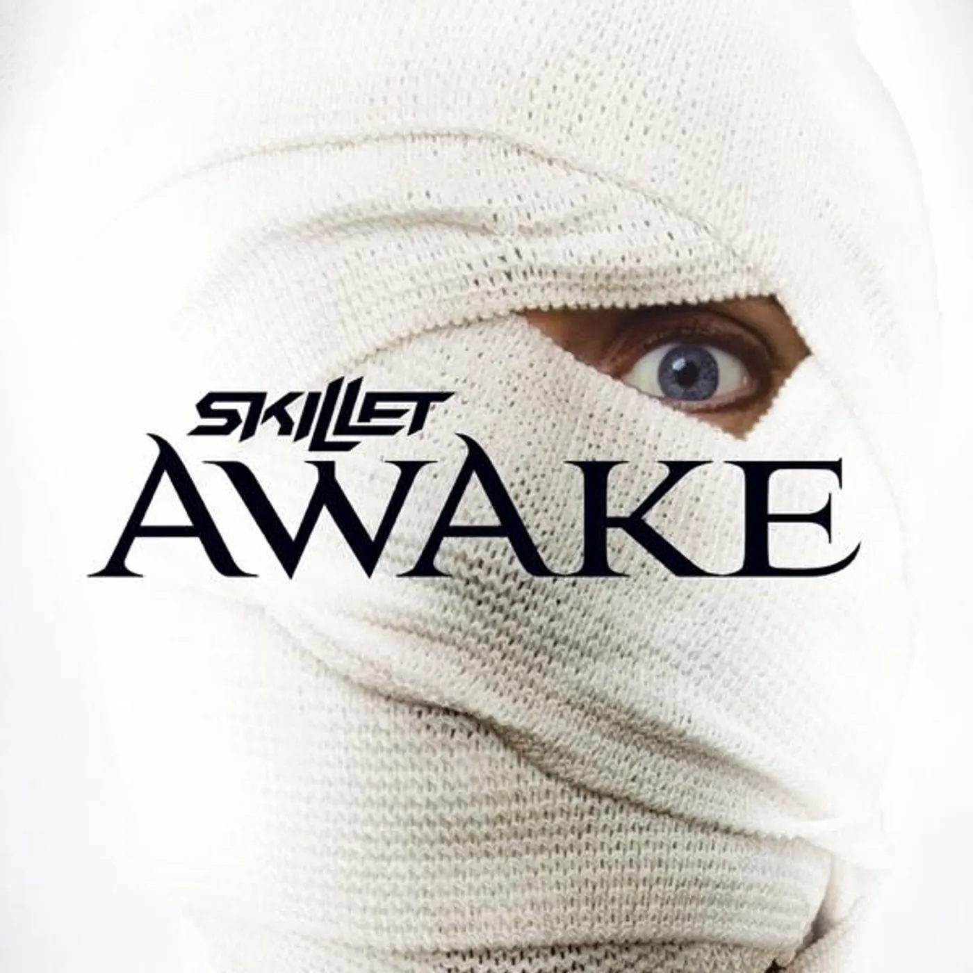 Skillet AWAKE CD