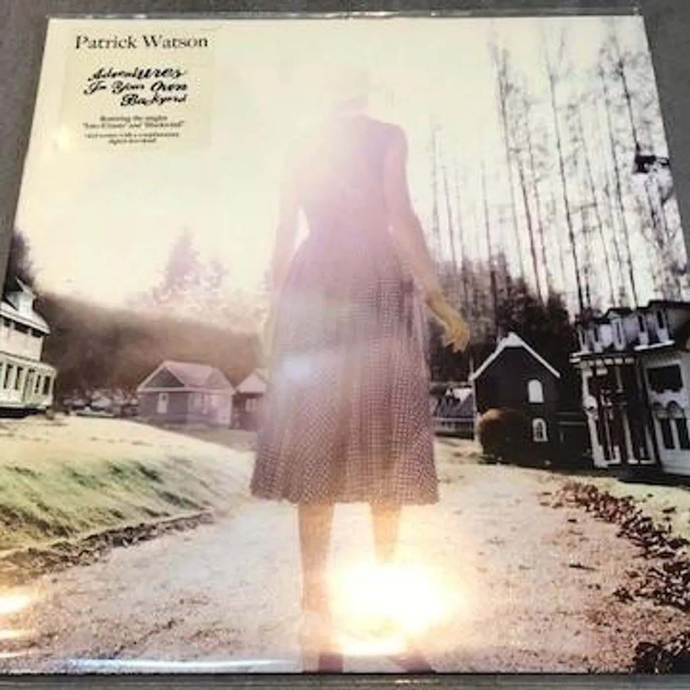 Patrick Watson ADVENTURES IN YOUR OWN BACKYARD (DL CARD) Vinyl Record