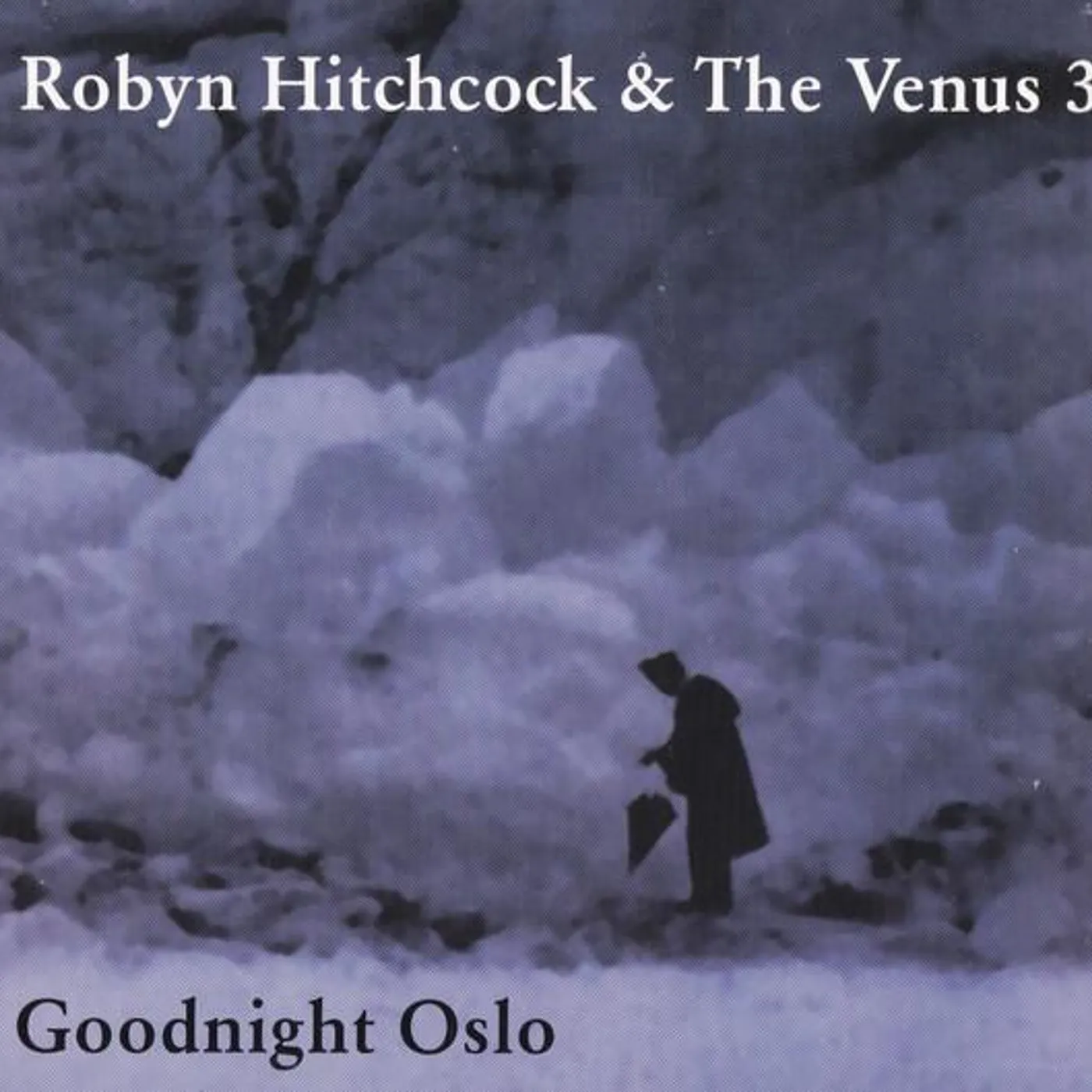 Robyn Hitchcock GOODNIGHT OSLO CD
