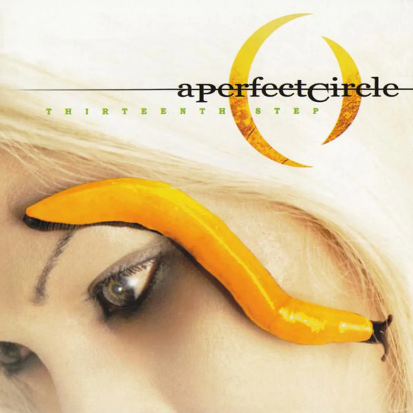 A Perfect Circle THIRTEENTH STEP CD