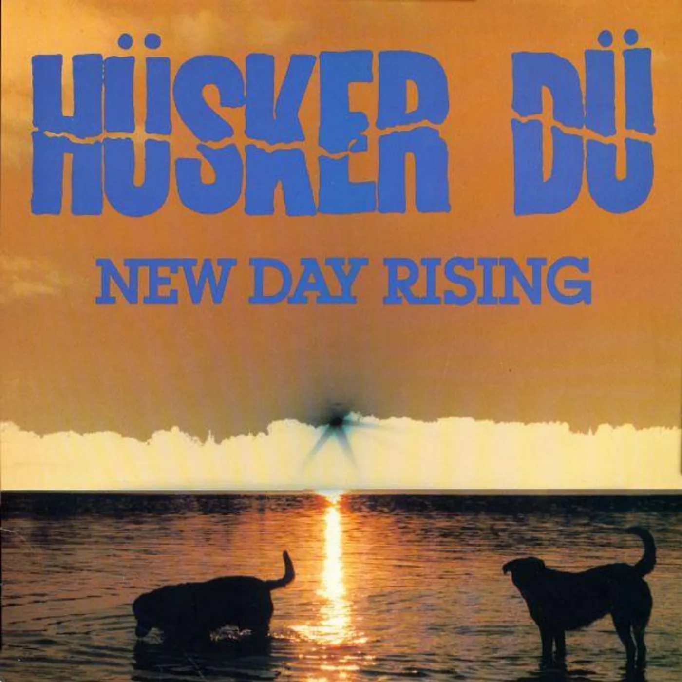 Hüsker Dü New Day Rising Vinyl Record