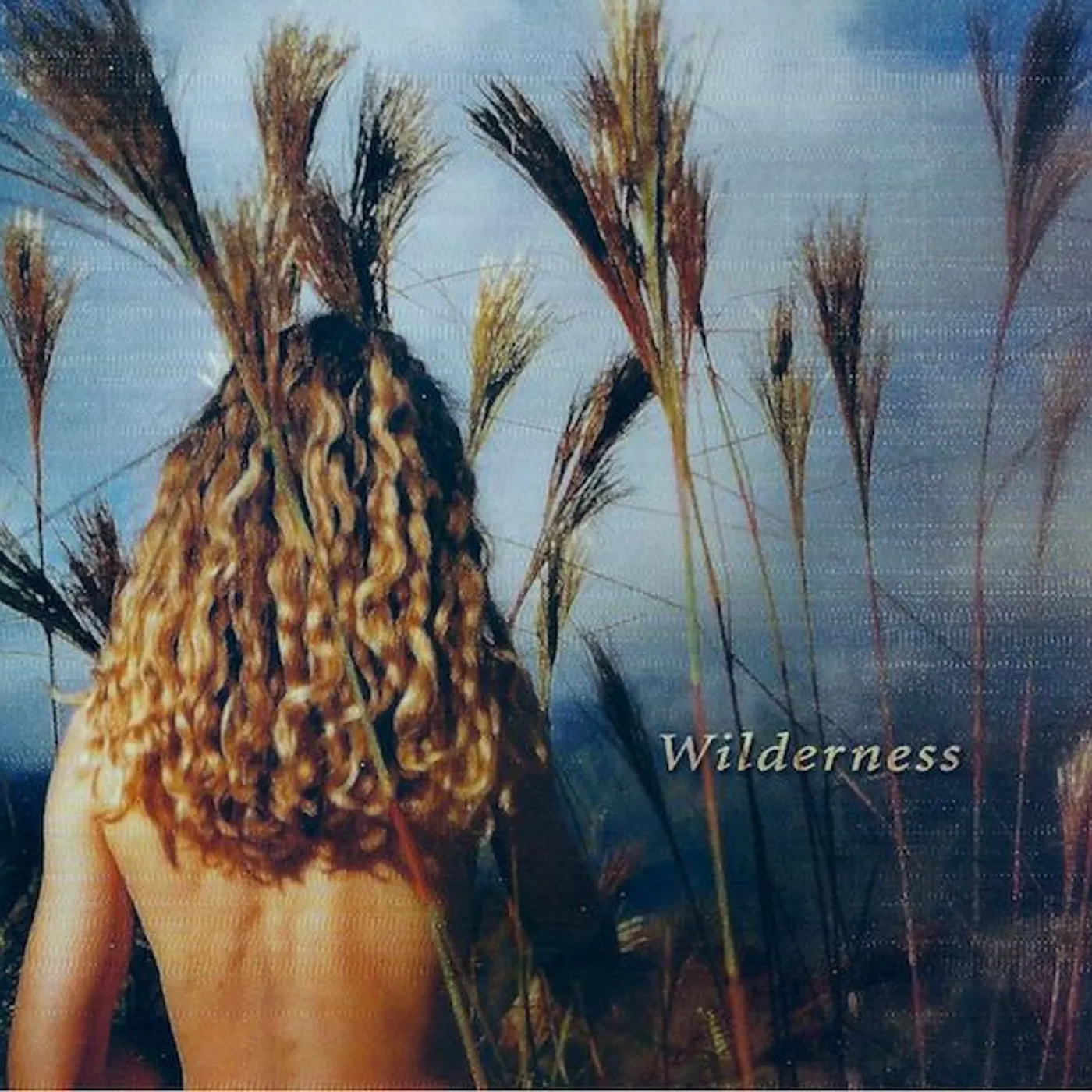 Sophie B. Hawkins WILDERNESS CD