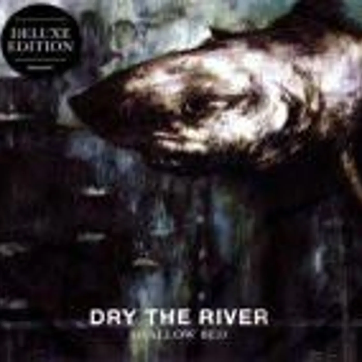 Dry the River SHALLOW BED CD