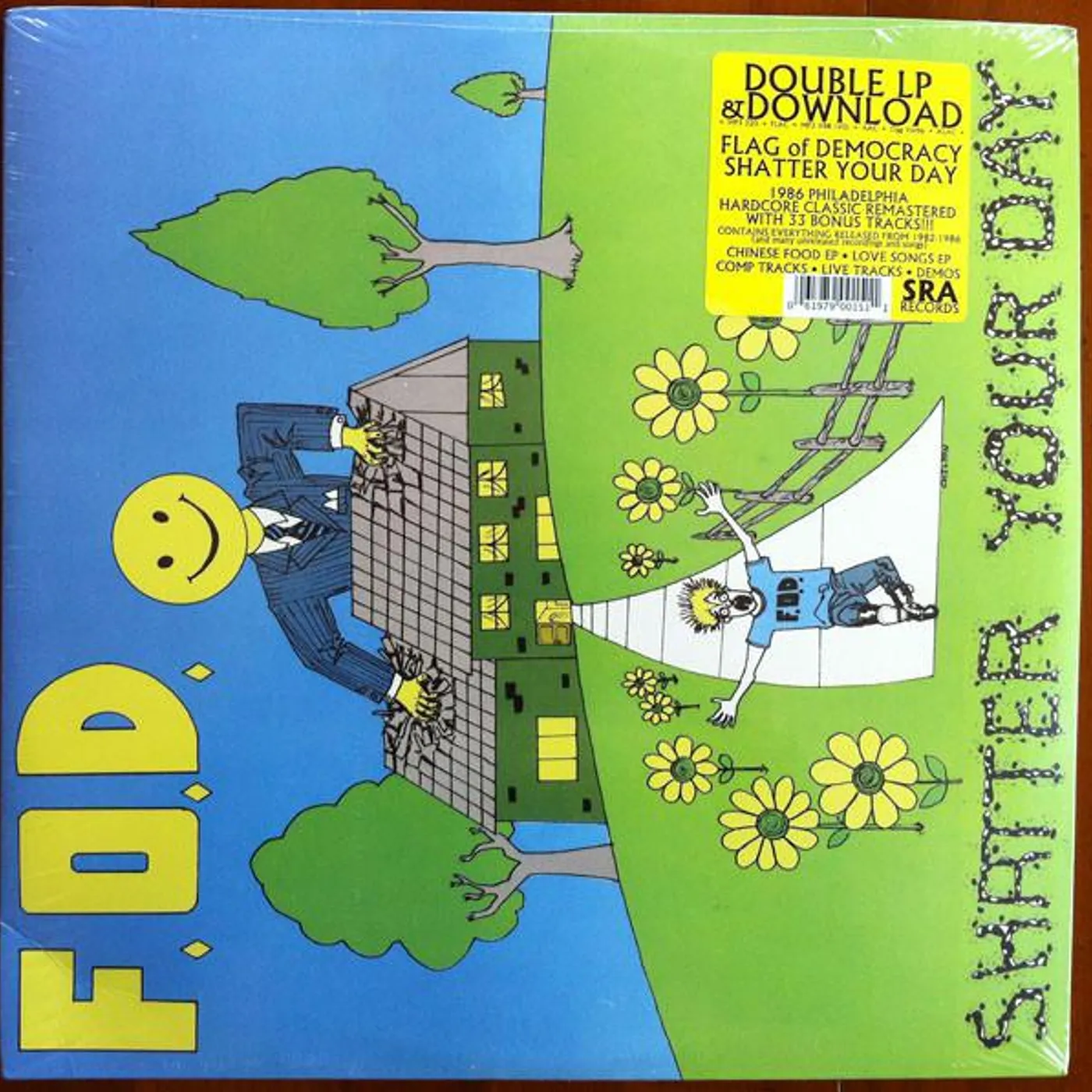 Flag Of Democracy Shatter Your Day Vinyl Record