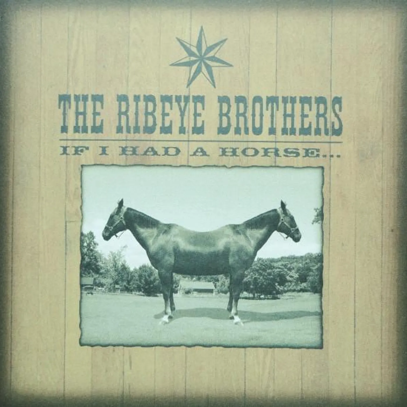 The Ribeye Brothers IF I HAD A HORSE CD