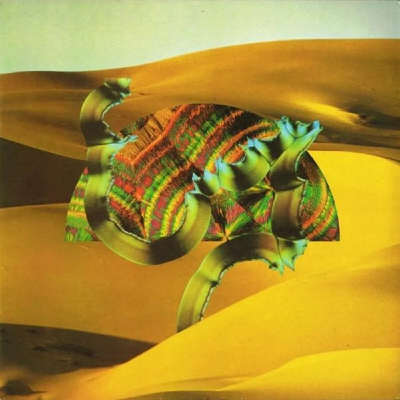 Django Django Vinyl Record