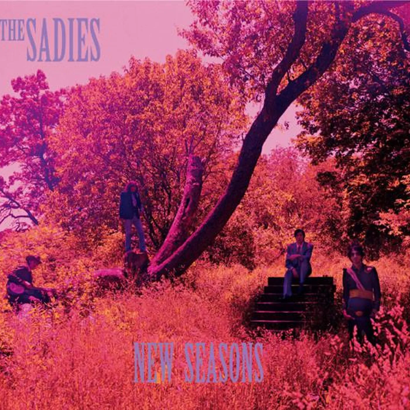 The Sadies NEW SEASONS CD