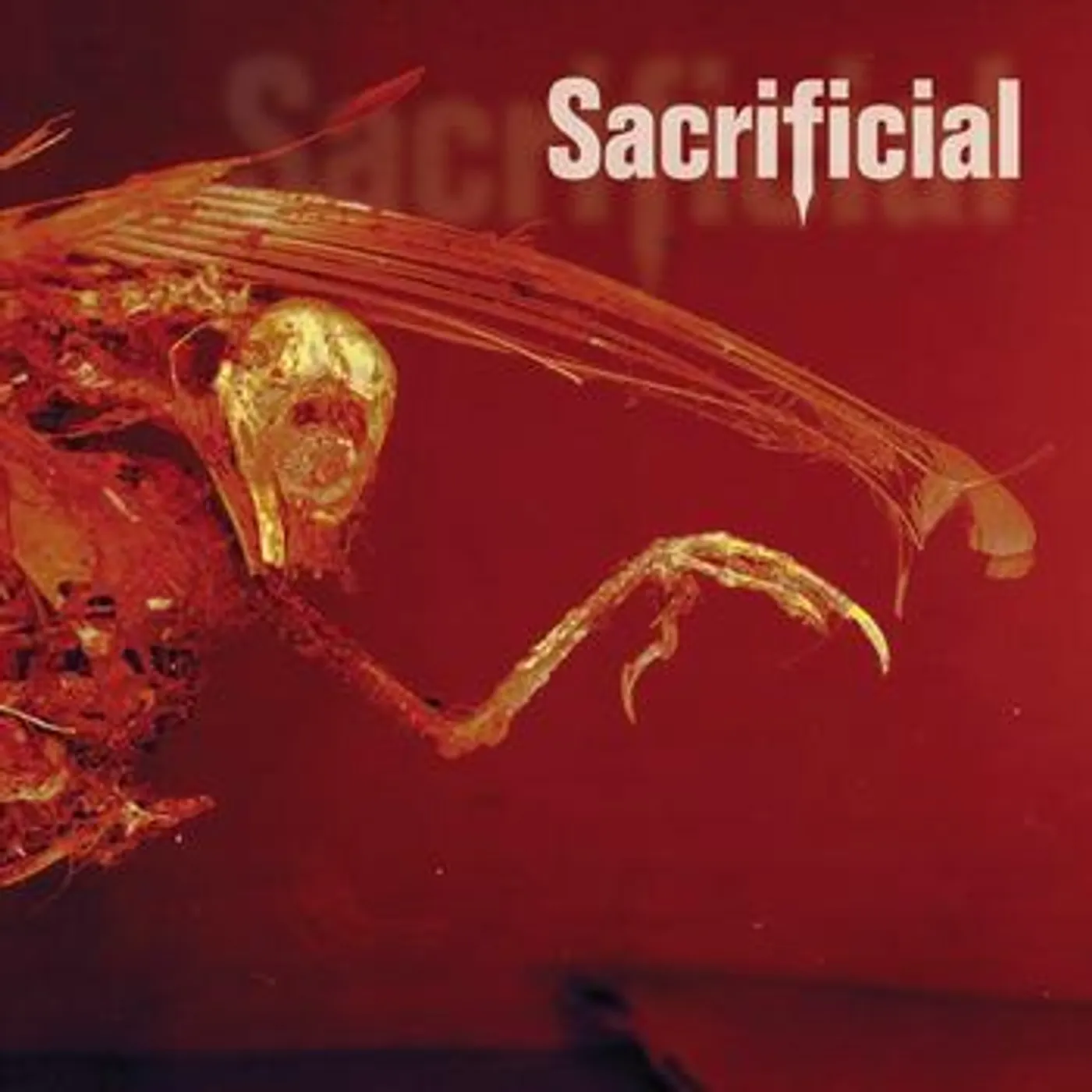 Sacrificial AUTOHATE CD