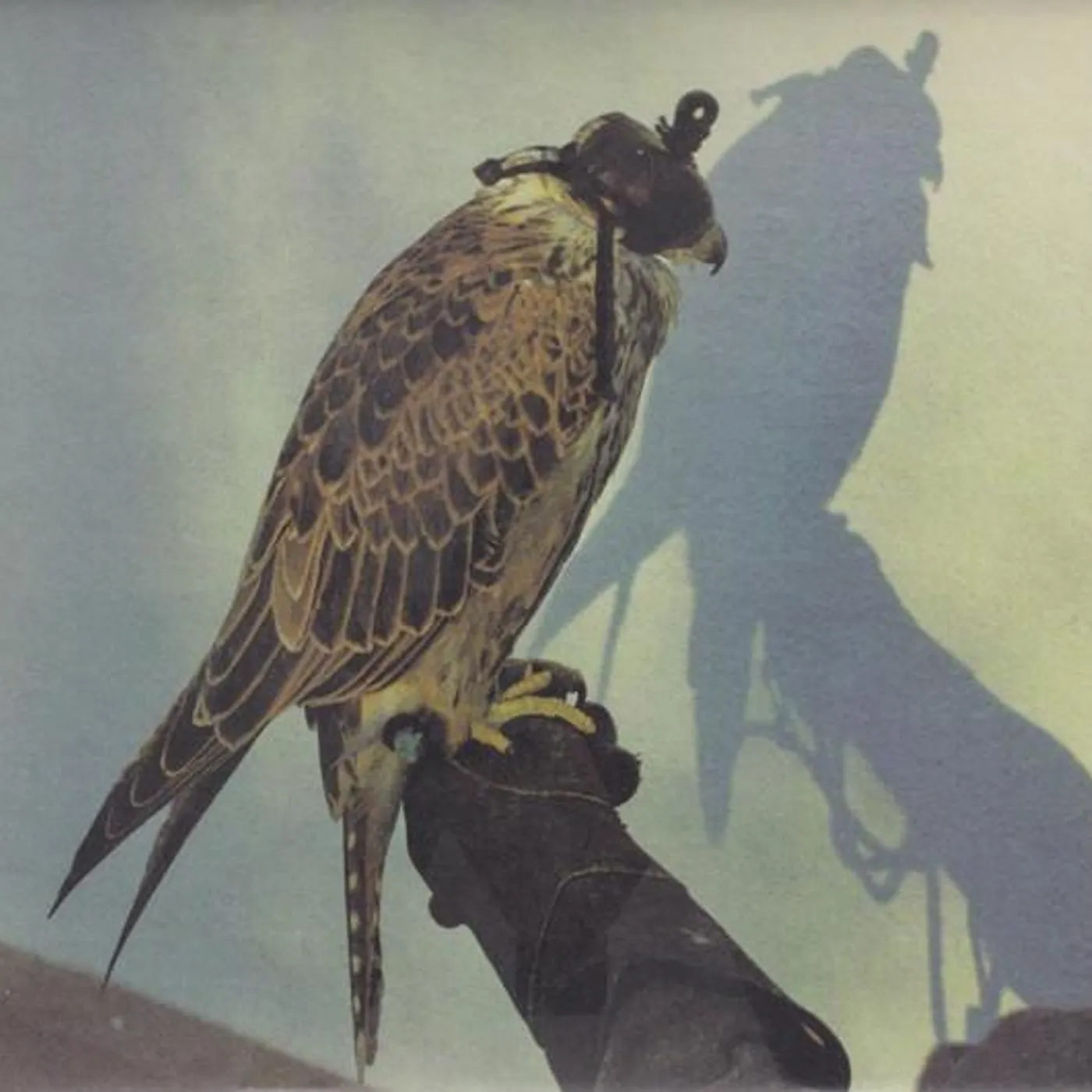 Iceage YOU'RE NOTHING CD