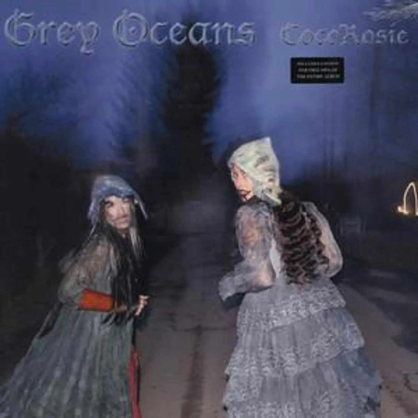 CocoRosie GREY OCEANS Vinyl Record