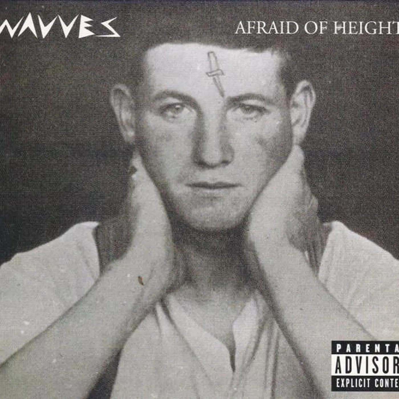 Wavves AFRAID OF HEIGHTS CD