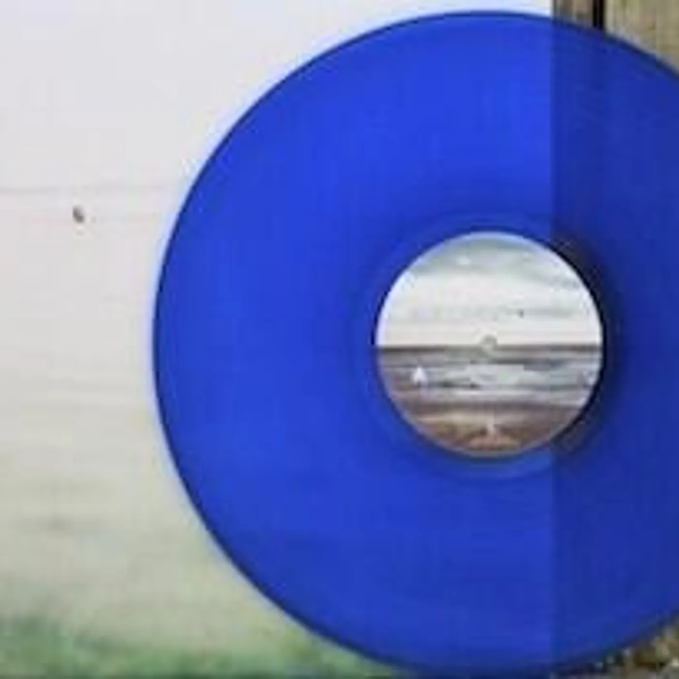 Blue Cranes SWIM Vinyl Record