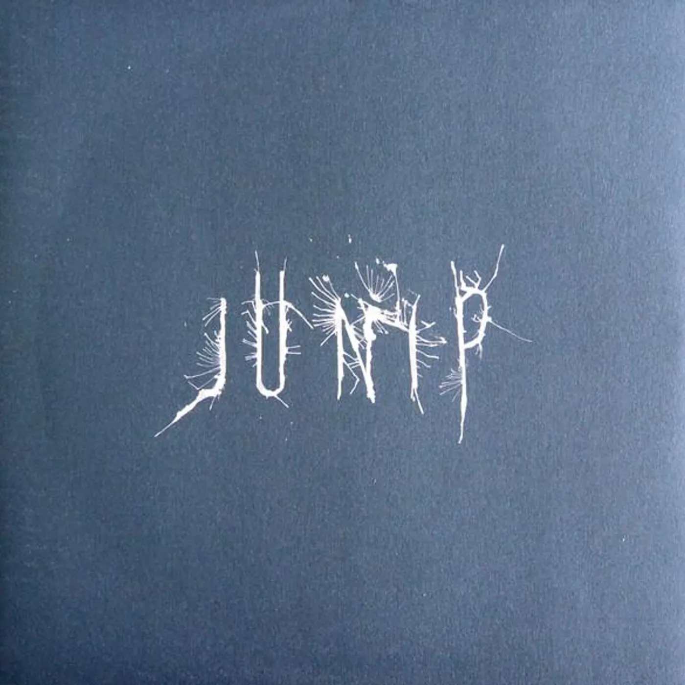 Junip Vinyl Record