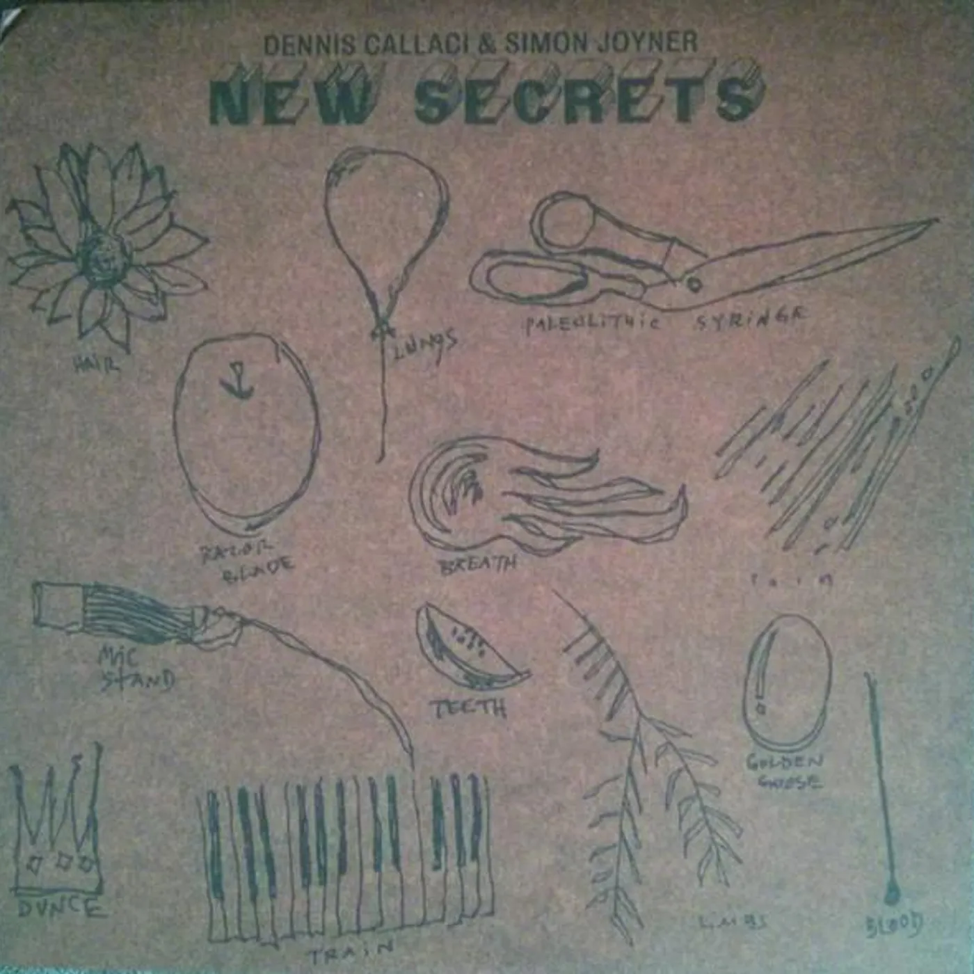 Simon Joyner NEW SECRETS Vinyl Record