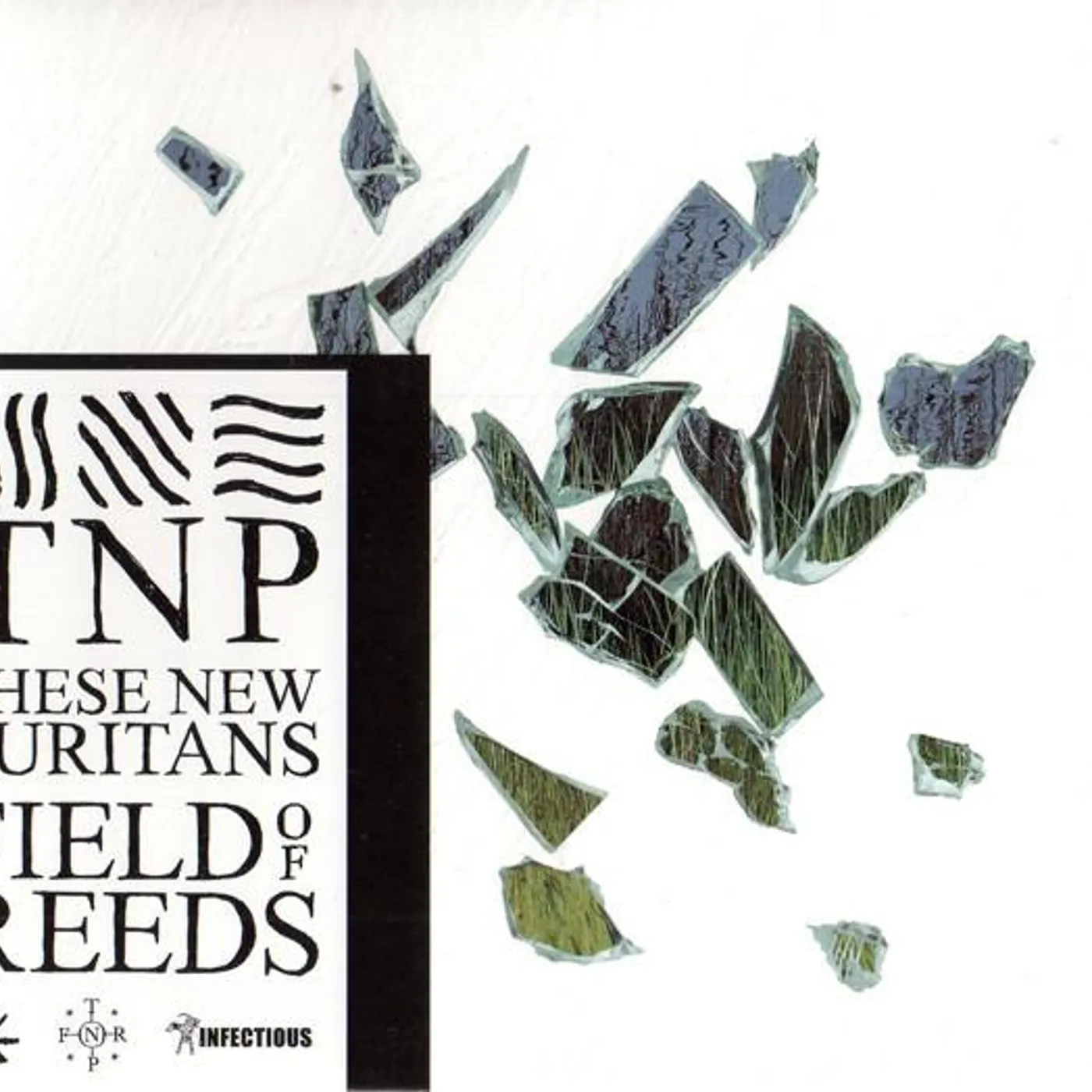 These New Puritans FIELD OF REEDS-CD CD