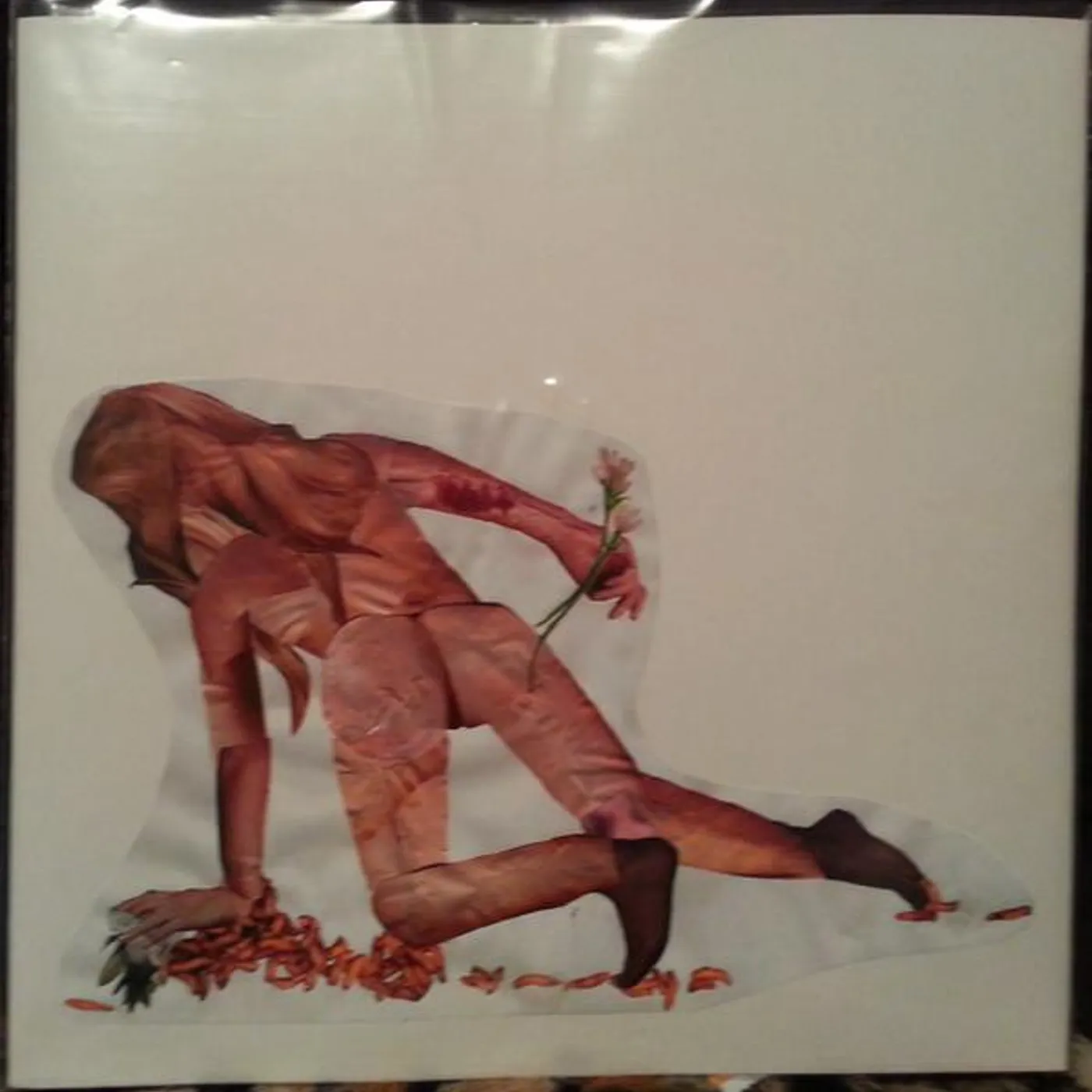 Pharmakon ABANDON Vinyl Record