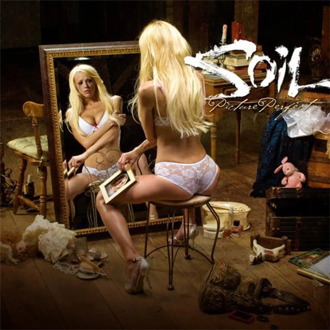 Soil PICTURE PERFECT CD