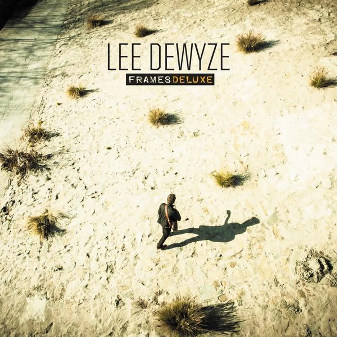 Lee DeWyze FRAMES CD