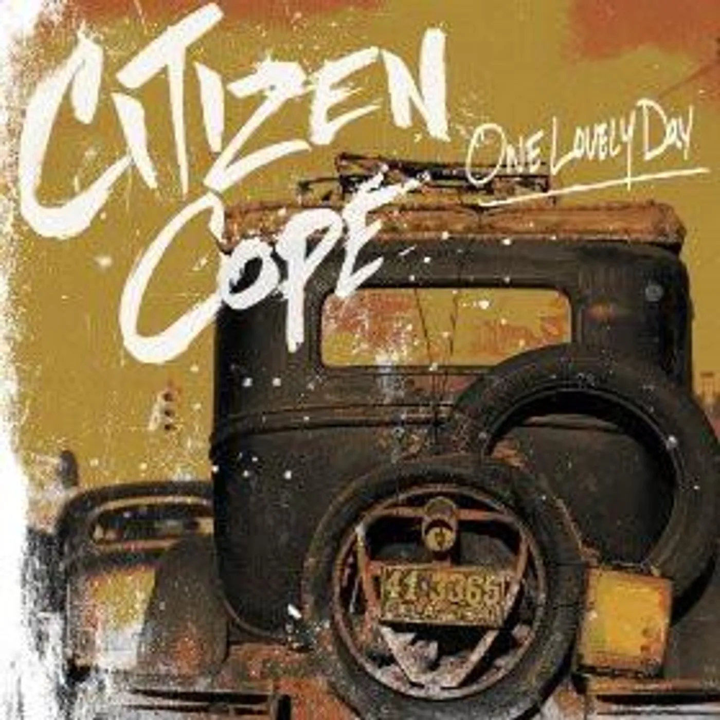 Citizen Cope ONE LOVELY DAY CD