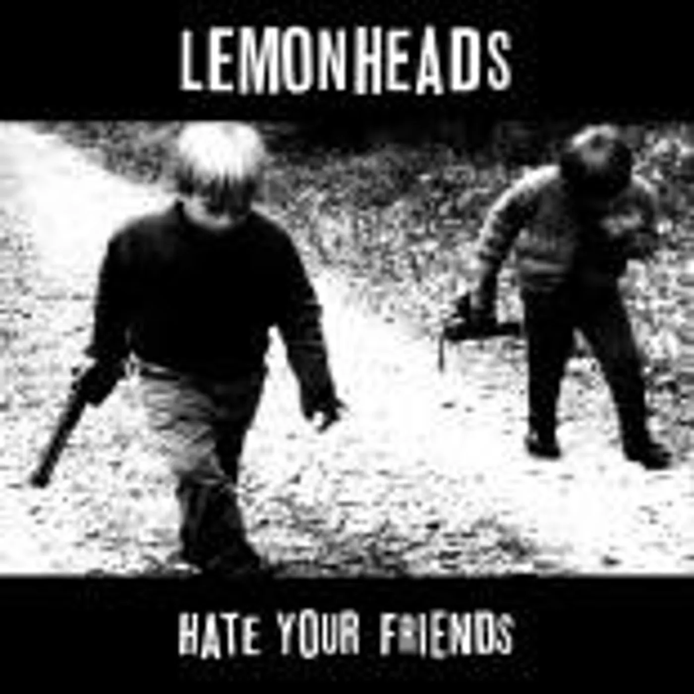 The Lemonheads Hate You Friends (Bonus CD) Vinyl Record