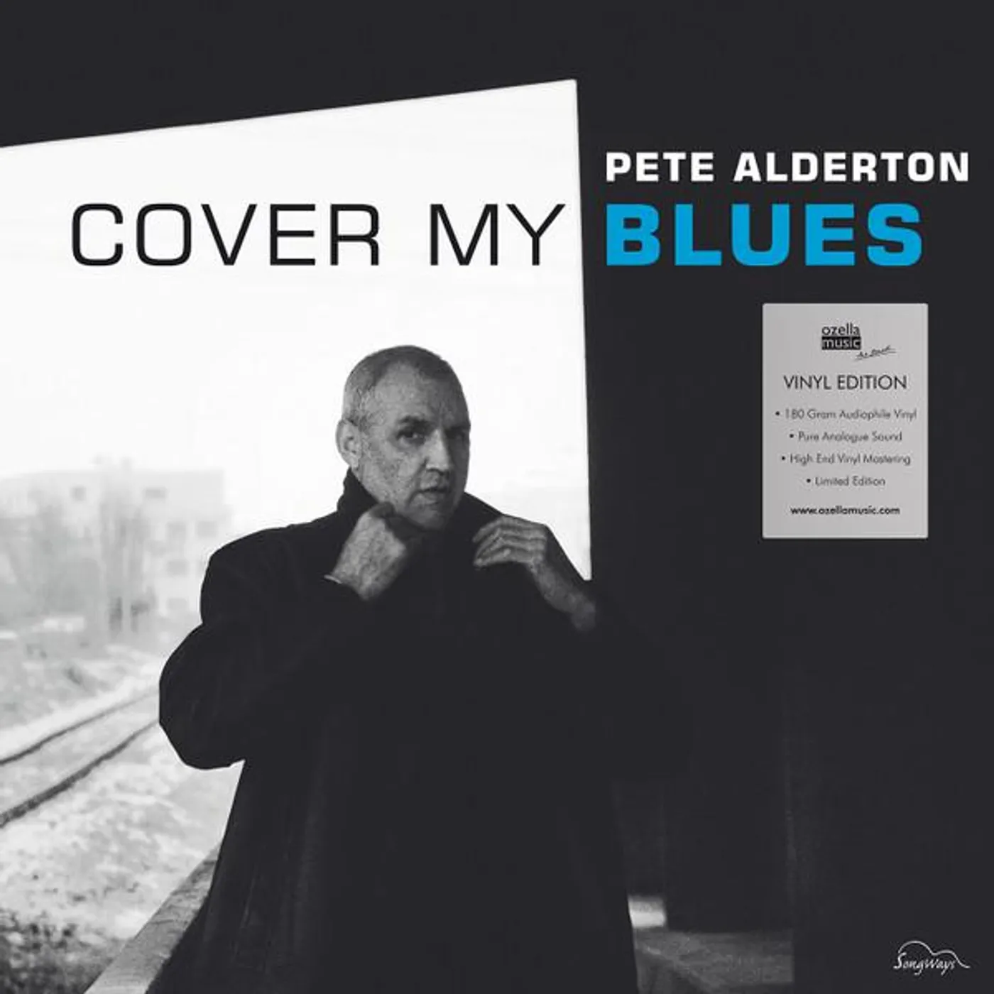 Pete Alderton COVER MY BLUES Vinyl Record