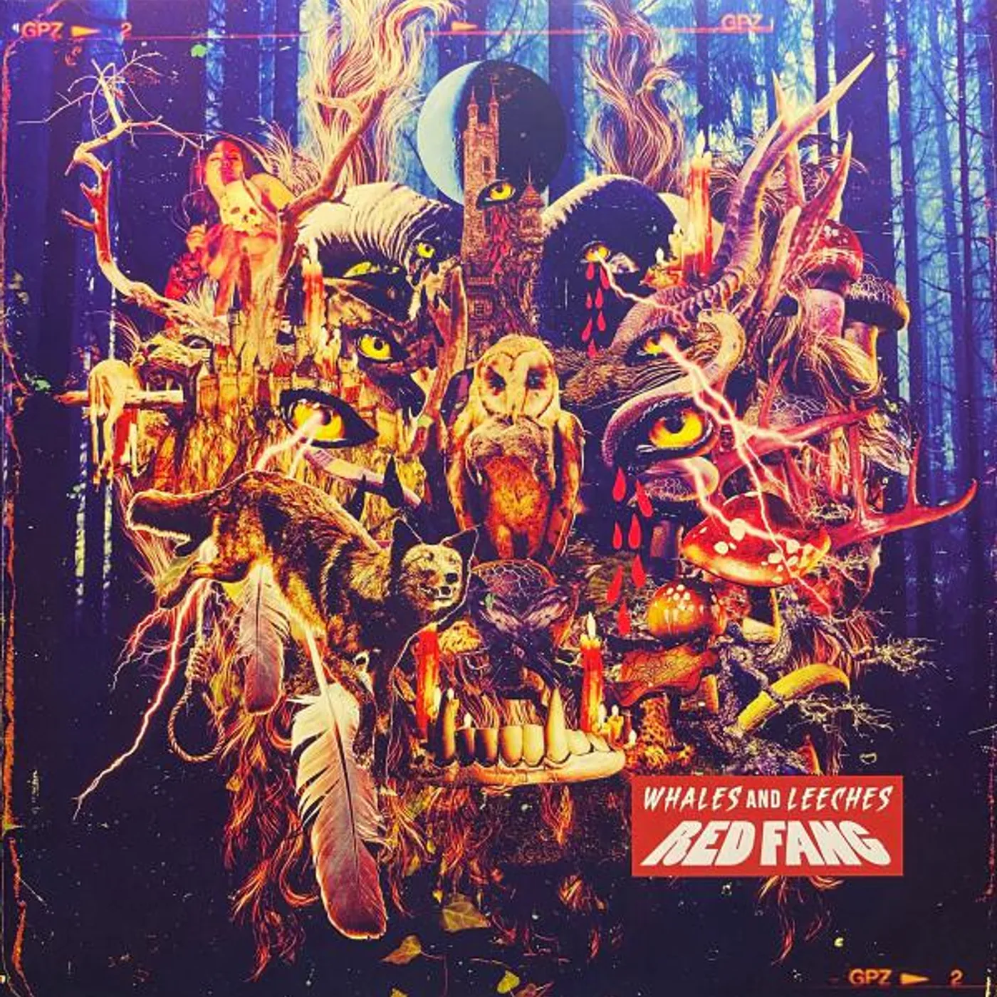 Red Fang LP - Whales And Leeches Standard Ve (Vinyl)