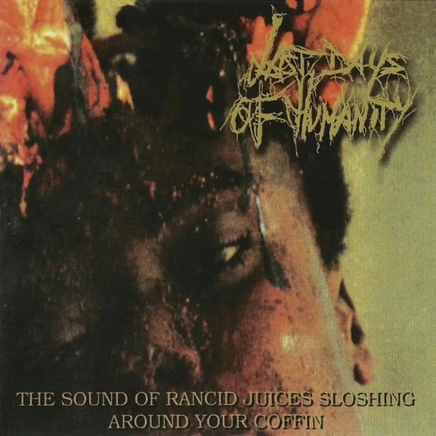 Last Days Of Humanity SOUND OF RANCID JUICES SLOSHING AROUND YOUR COFFIN CD
