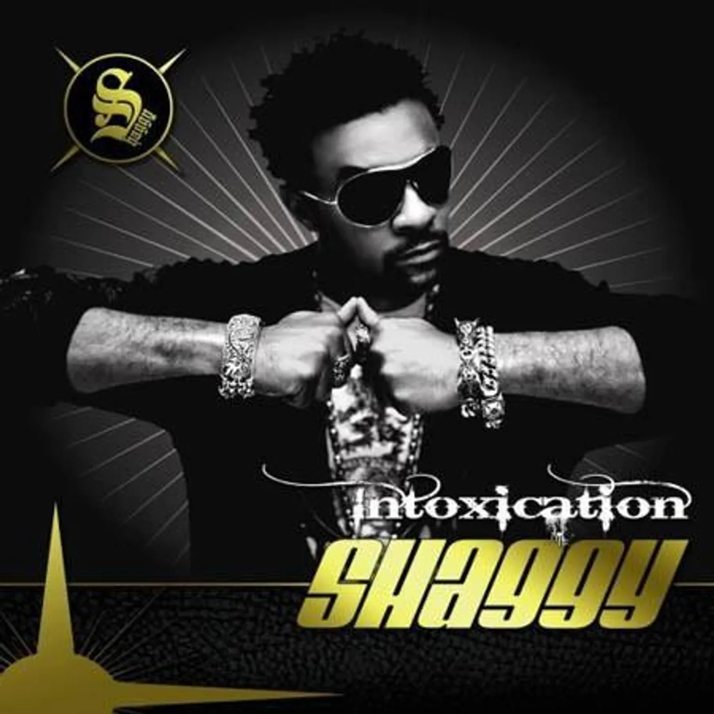 Shaggy INTOXICATION CD