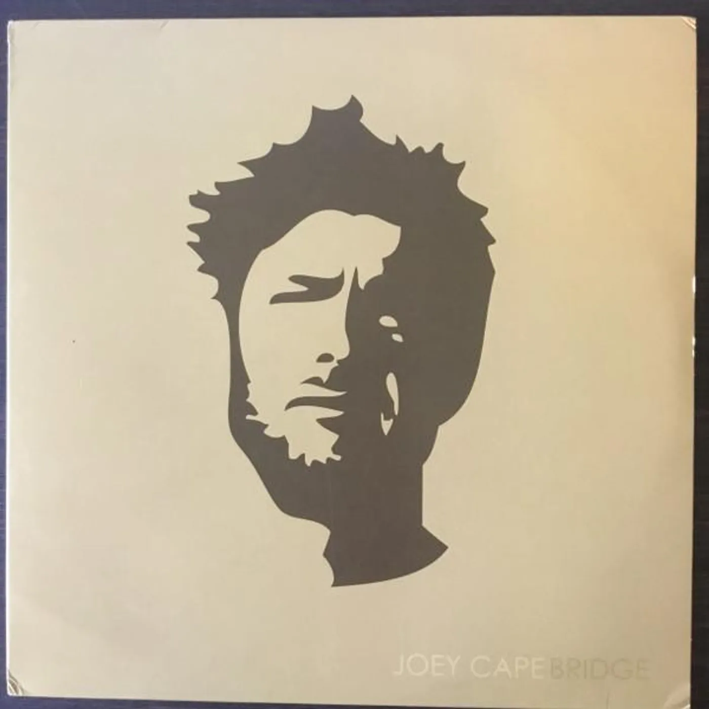 Joey Cape BRIDGE Vinyl Record