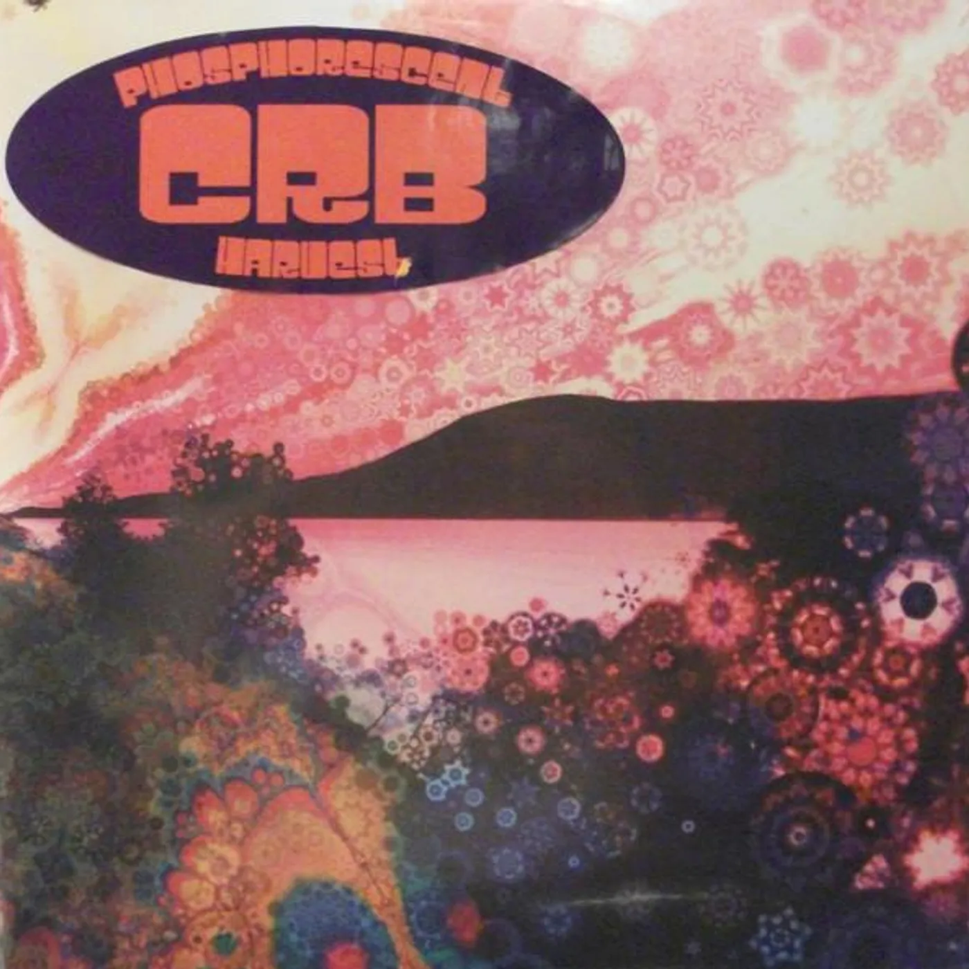 Chris Robinson Brotherhood Phosphorescent Harvest Vinyl Record