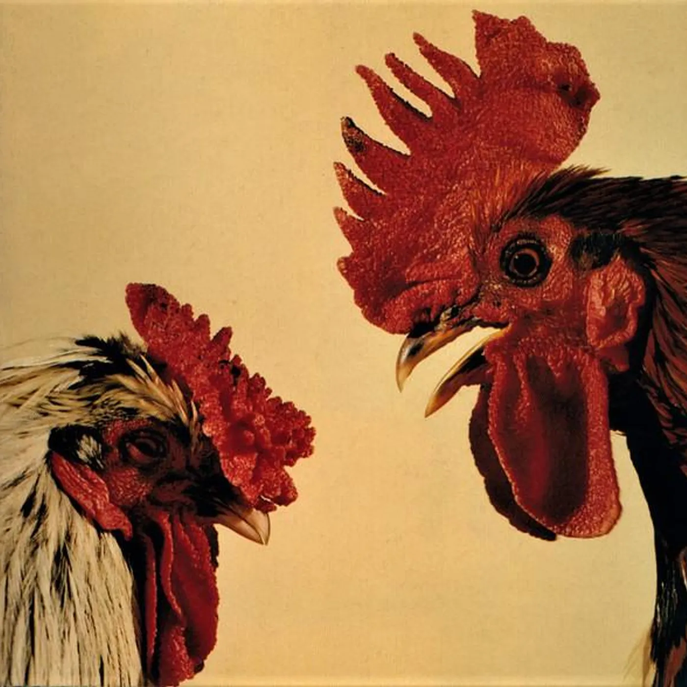 Khan NO COMPRENDO CD