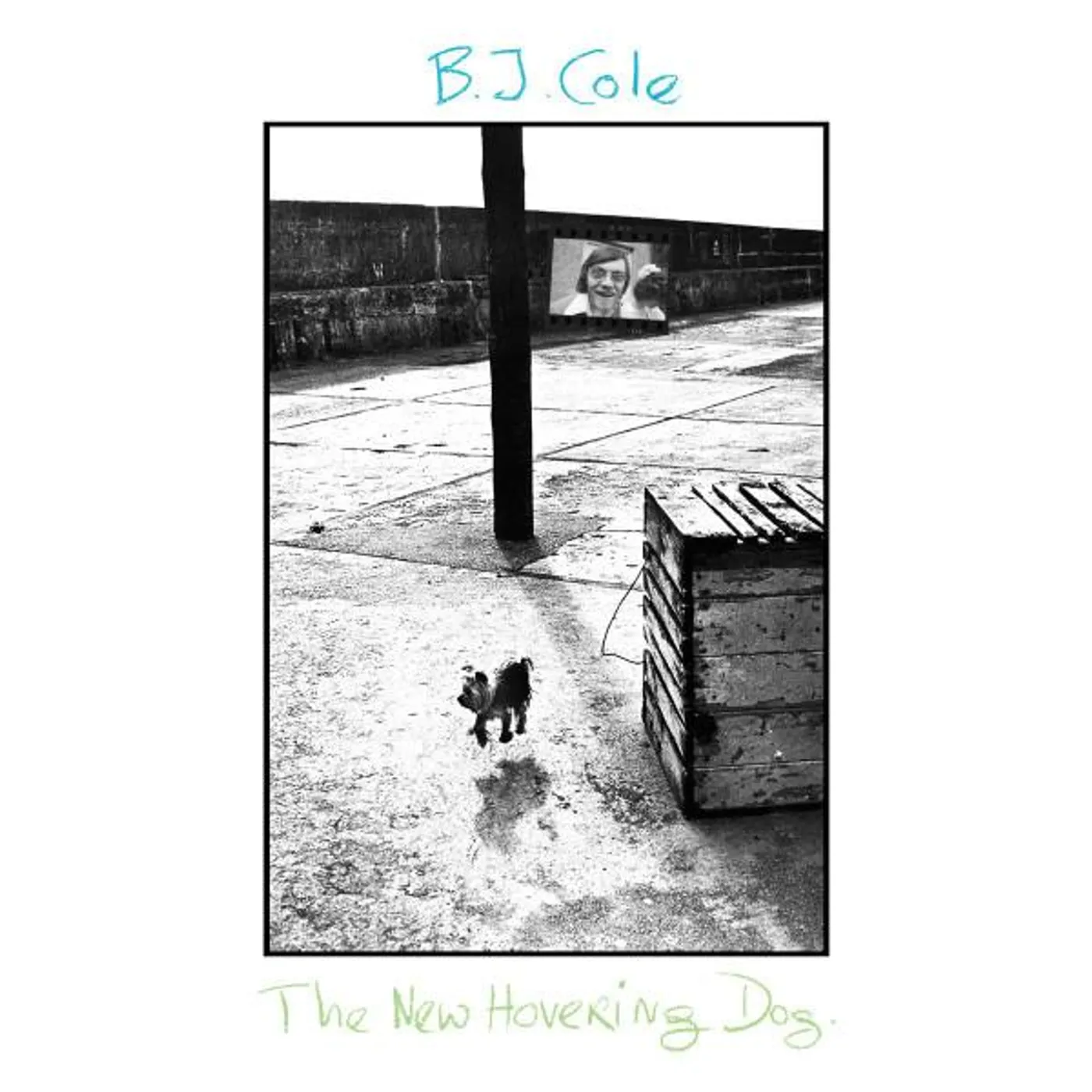 BJ Cole NEW HOVERING DOG CD