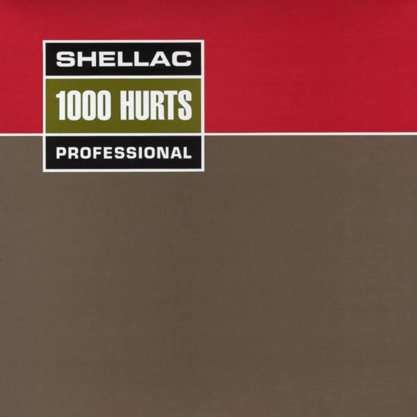 Shellac 1000 HURTS Vinyl Record