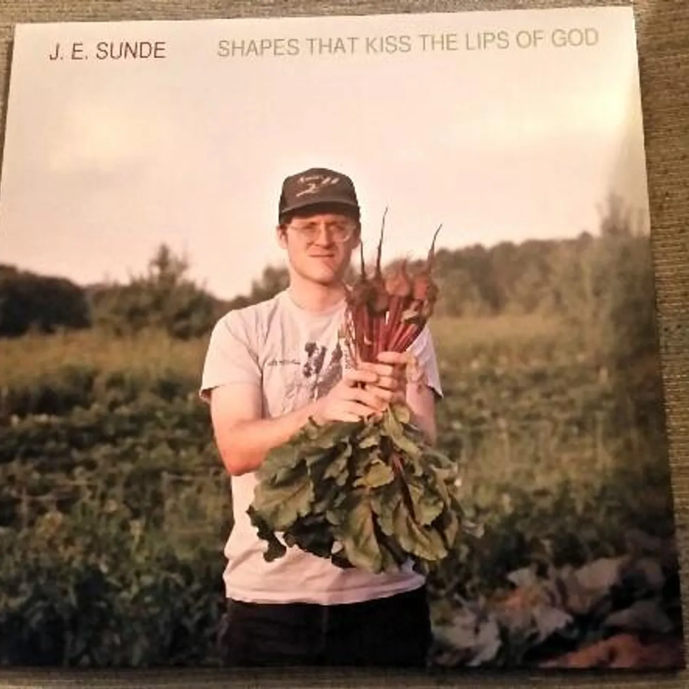 J.E. Sunde Shapes That Kiss the Lips of God Vinyl Record