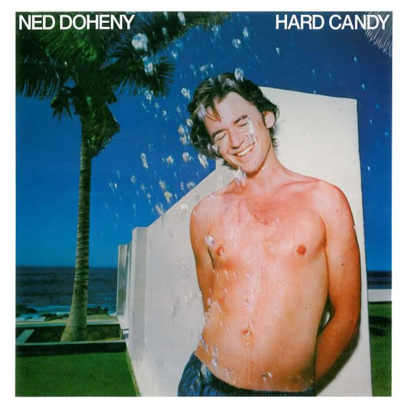 Ned Doheny Hard Candy Vinyl Record