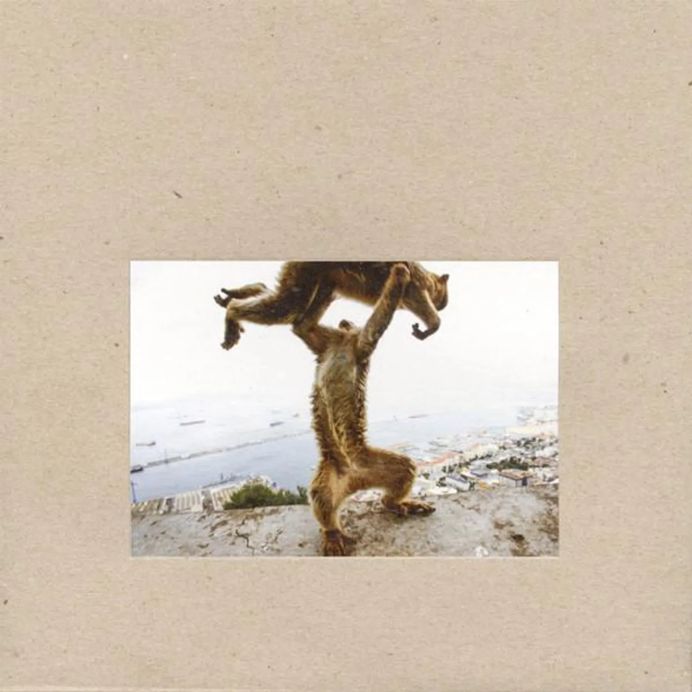 Shellac DUDE INCREDIBLE CD