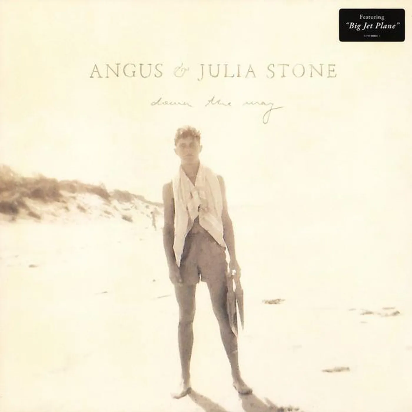 Angus & Julia Stone Down The Way Vinyl Record