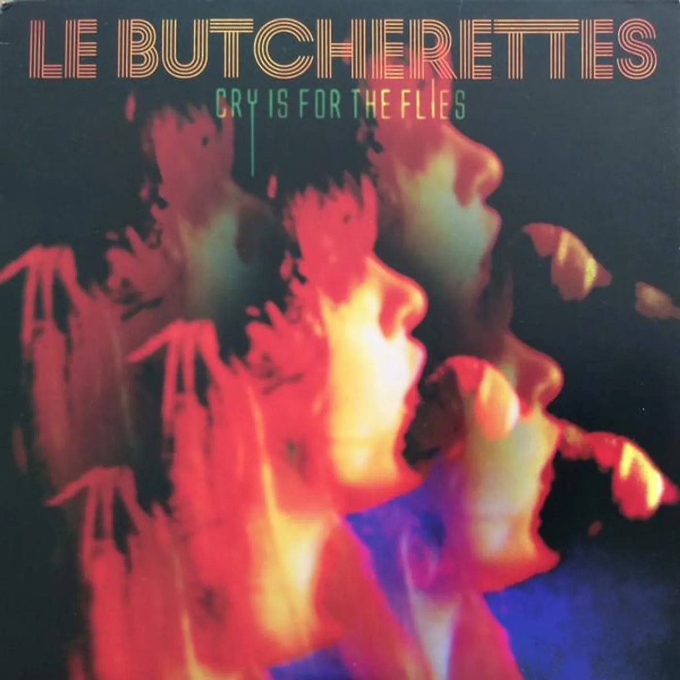Le Butcherettes CRY IS FOR THE FLIES Vinyl Record