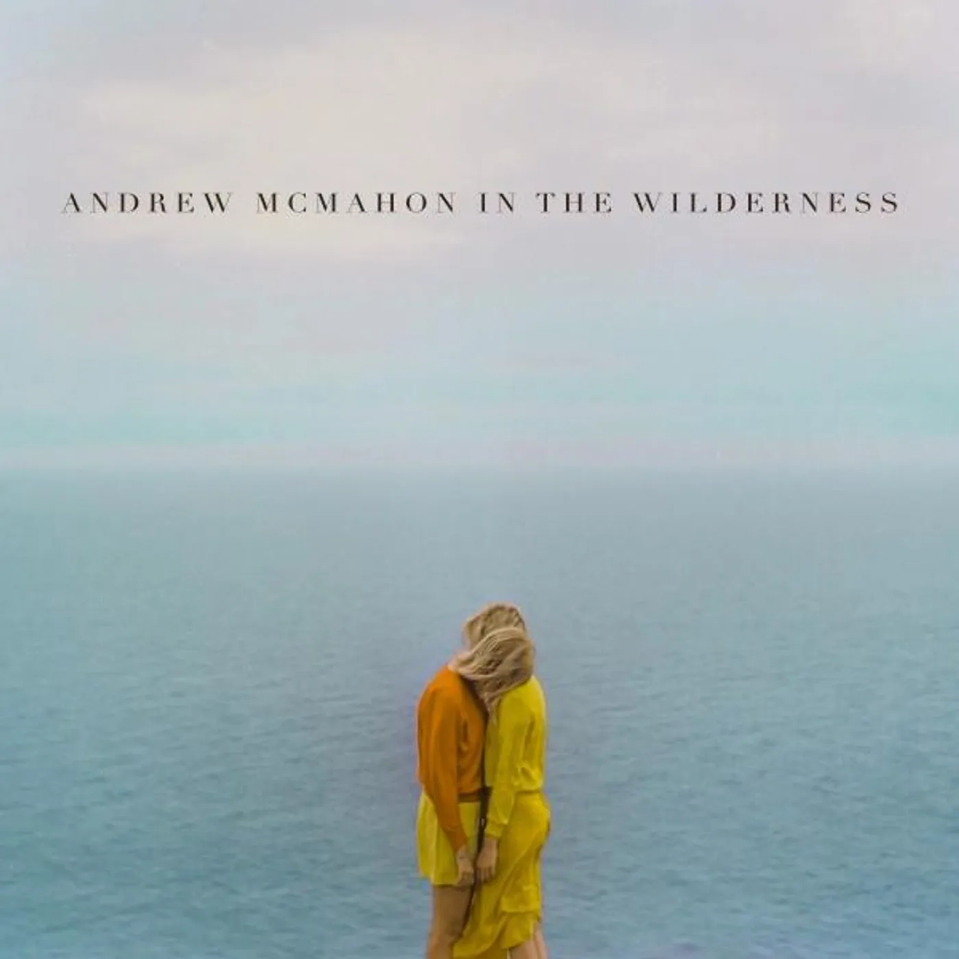 Andrew McMahon In The Wilderness Vinyl Record