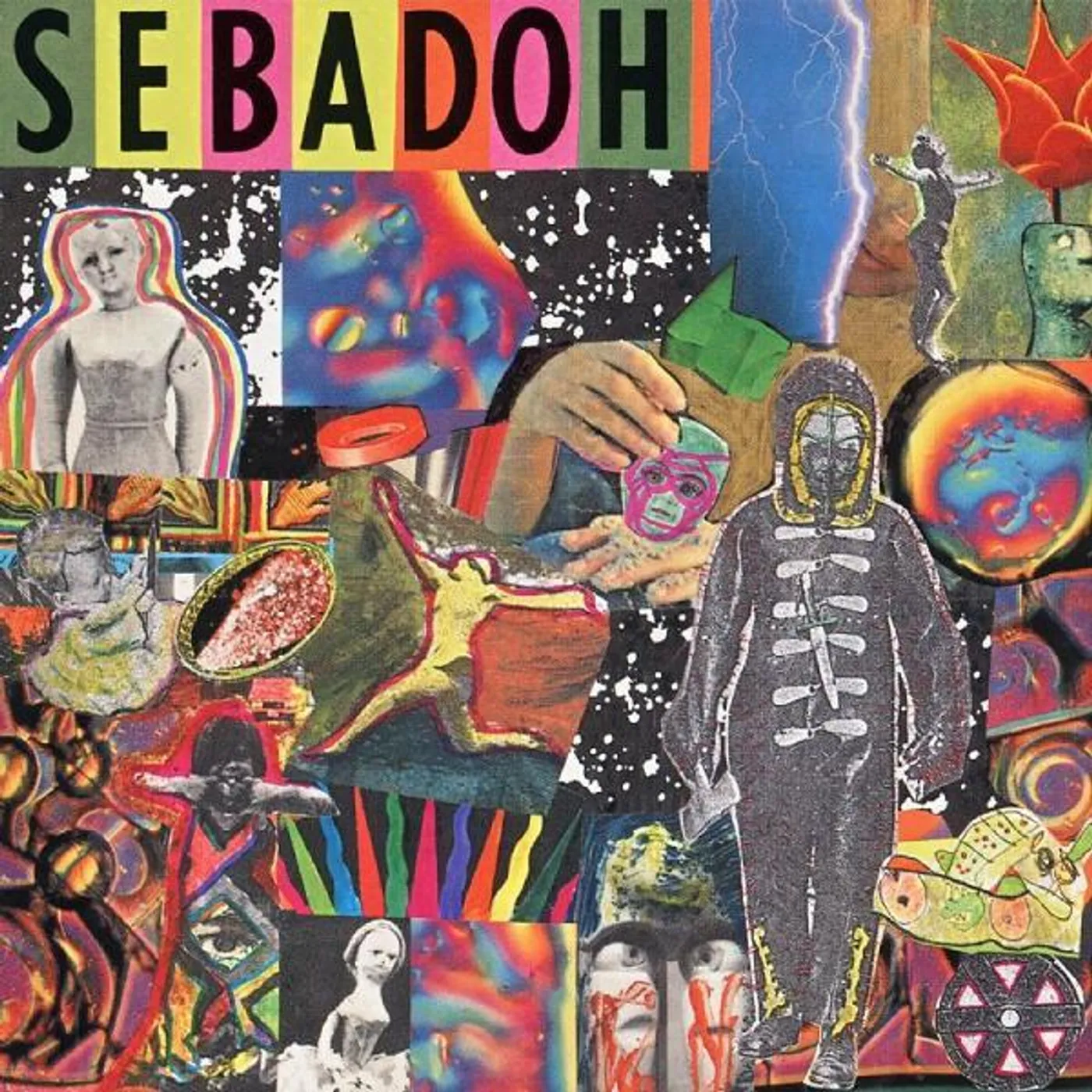 Sebadoh SMASH YOUR HEAD ON THE PUNK ROCK CD